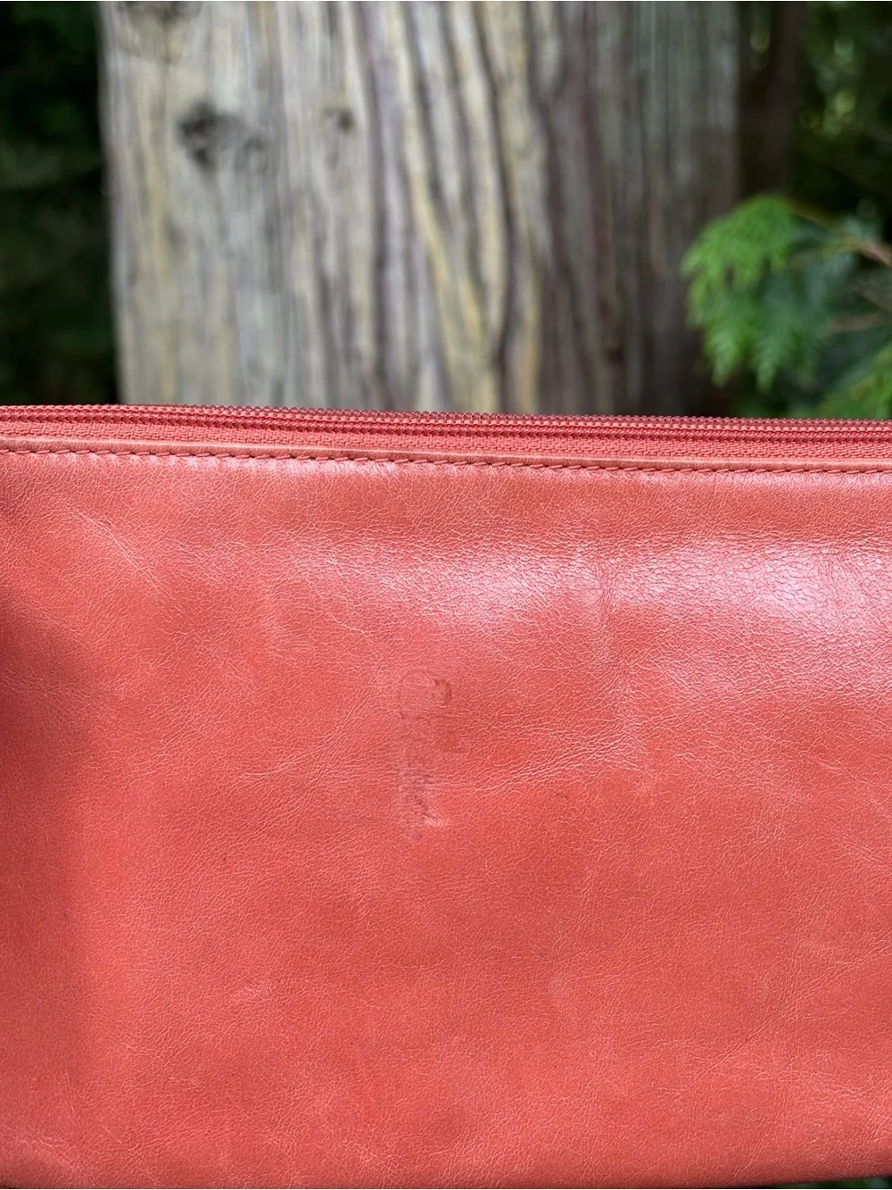 HOBO Coral Leather Wristlet Clutch